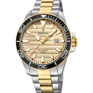 Festina Prestige F20362/1