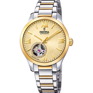 Festina Automatik F20489/2