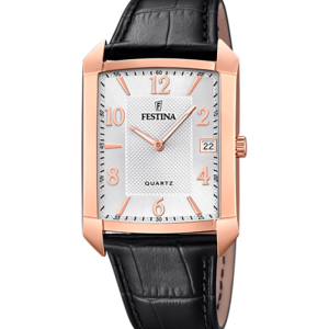 Festina Klassik F20465/1