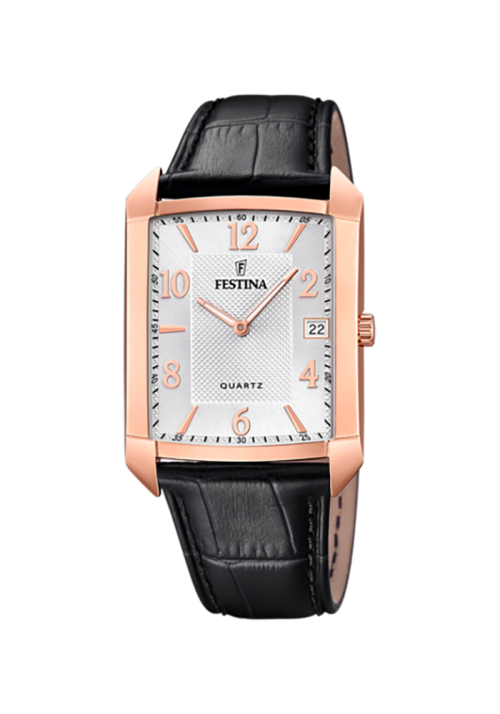 Festina Klassik F20465/1