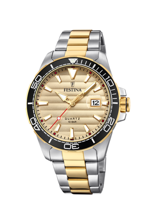 Festina Prestige F20362/1