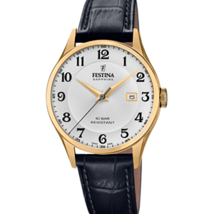 Festina Swiss made F20010/1