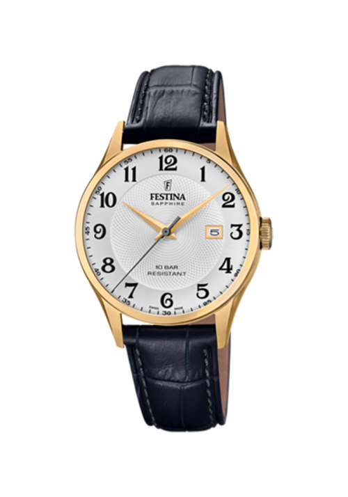 Festina Swiss made F20010/1