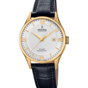 Festina Swiss made F20010/2