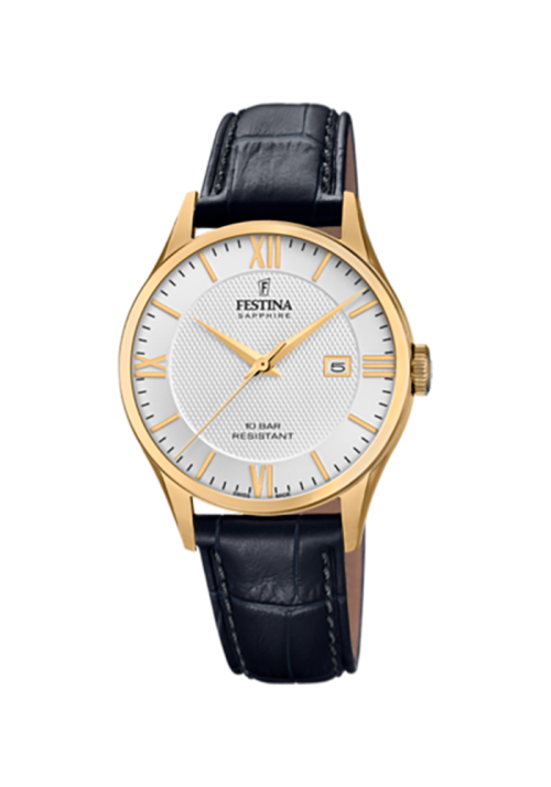 Festina Swiss made F20010/2