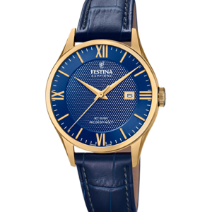 Festina Swiss made F20010/3