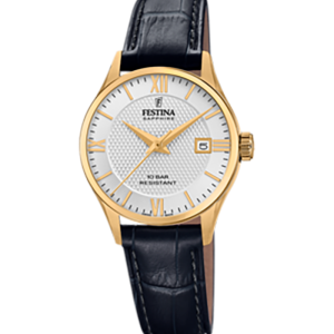 Festina Swiss made F20011/1