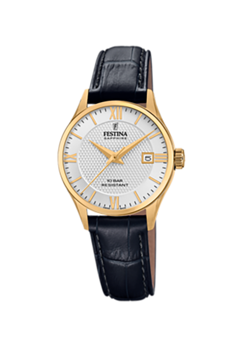 Festina Swiss made F20011/1