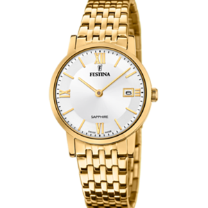 Festina Swiss made F20021/1