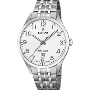 Festina Titanium F20466/1