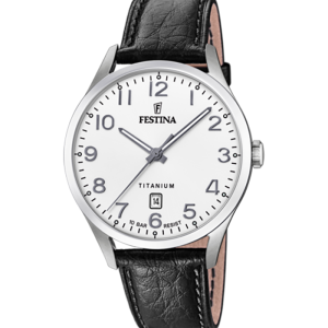 Festina Titanium F20467/1