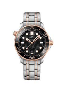 Omega Seamaster Diver 300M Co‑Axial Master Chronometer 42 mm 210.20.42.20.01.001