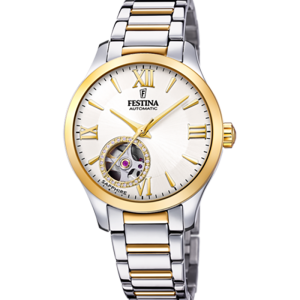 Festina Automatik F20489/1