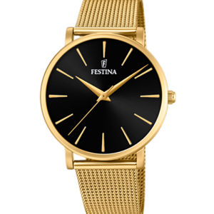 Festina Boyfriend F20476/2