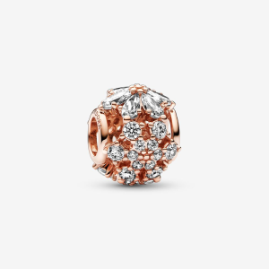 Pandora Timeless Funkelndes Herbarium Cluster Rundes Charm 782383C01