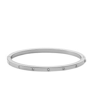 Fossil Armreif Sadie Shine Bright Edelstahl JF04420040
