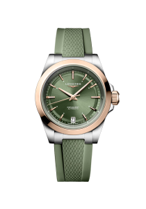 Longines Conquest Conquest L3.430.5.02.9