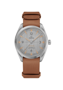 Omega Seamaster Railmaster Omega Co-Axial Master Chronometer 40 mm 220.12.40.20.06.001