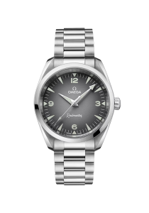 Omega Seamaster Seamaster Railmaster 38mm 235.10.38.20.06.001