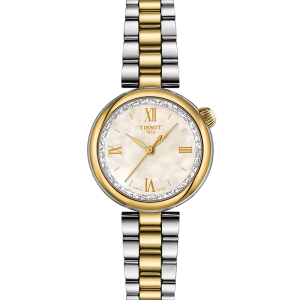 Tissot T-Lady Desir 28 mm T152.010.22.118.01