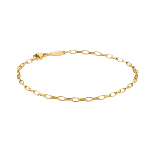 Thomas Sabo Charm Connect Charm-Armband Paperclip vergoldet A2206-413-39